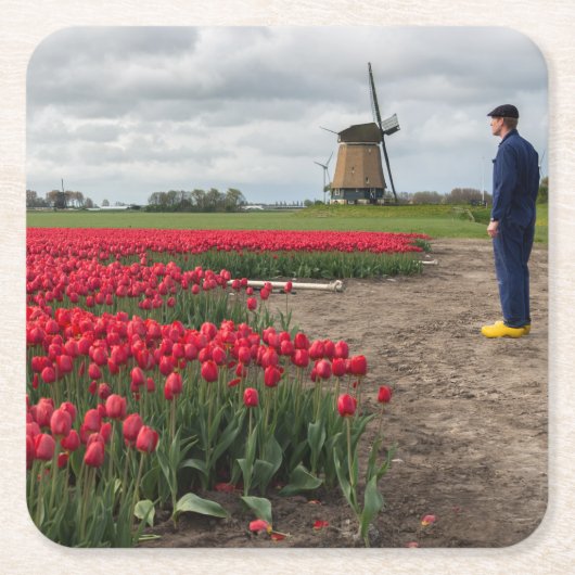 Boer inspecteert zijn tulpen en windmolen kartonnen onderzetters (Voorkant)