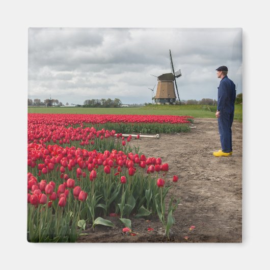 Boer inspecteert zijn tulpen en windmolen magneet (Voorkant)