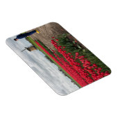 Boer inspecteert zijn tulpen en windmolen magneet (Rechterzijde)