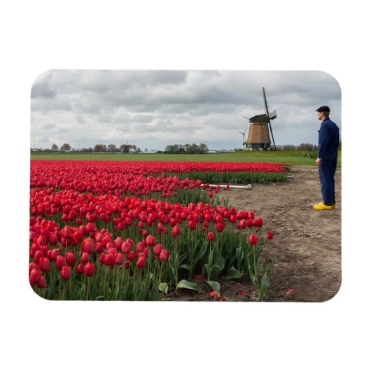 Boer inspecteert zijn tulpen en windmolen magneet (Horizontaal)