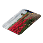 Boer inspecteert zijn tulpen en windmolen magneet (Linkerzijde)