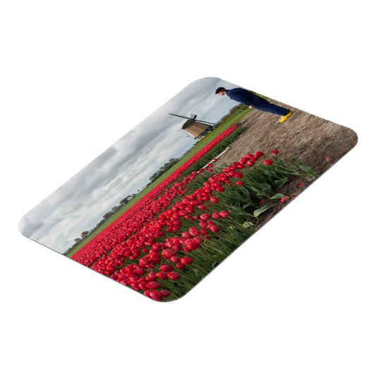 Boer inspecteert zijn tulpen en windmolen magneet (Linkerzijde)