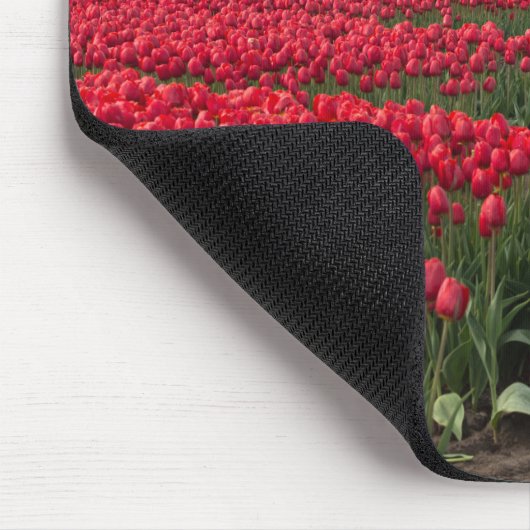 Boer inspecteert zijn tulpen en windmolen muismat (Hoek)