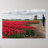 Boer inspecteert zijn tulpen en windmolen poster (Voorkant)