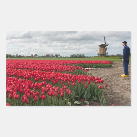 Boer inspecteert zijn tulpen en windmolen rechthoekige sticker (Voorkant)