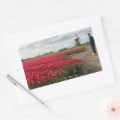 Boer inspecteert zijn tulpen en windmolen rechthoekige sticker (Envelop)
