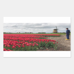 Boer inspecteert zijn tulpen en windmolen rechthoekige sticker