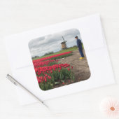 Boer inspecteert zijn tulpen en windmolen vierkante sticker (Envelop)