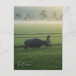 Boer met een Buffalo Vietnam Travel Briefkaart