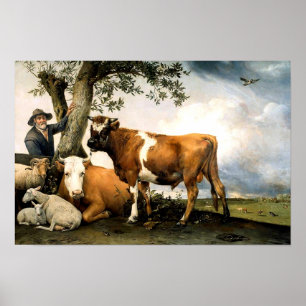 Boer met koeien en schapen poster