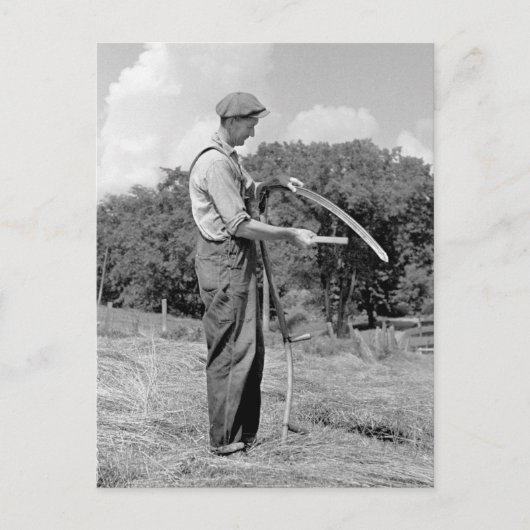 Boer Sharpening a Scythe, jaren 30 Briefkaart (Voorkant)
