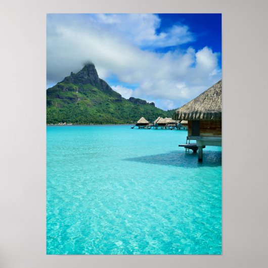 Boerbekkens op verticaal poster Bora Bora Bora (Voorkant)