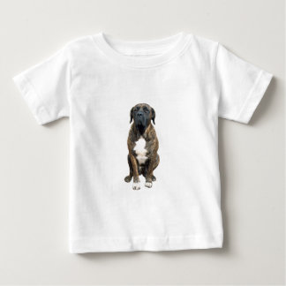Boerboel (A)