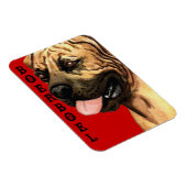 Boerboel Colour Block Magneet (Rechterzijde)