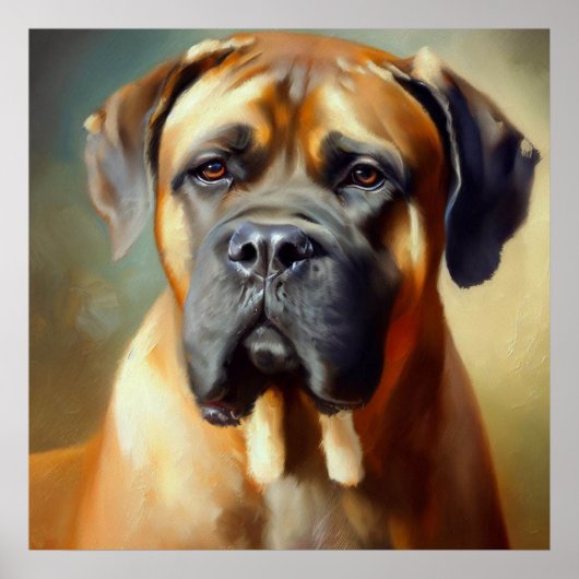 Boerboel Dog Poster (Voorkant)
