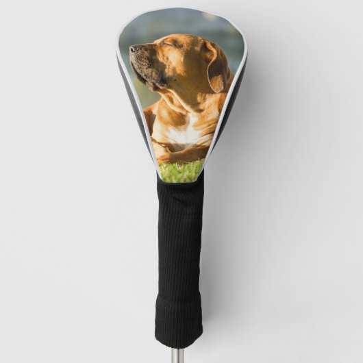 Boerboel Golf Hoofdhoes Golfheadcover (Voorkant)
