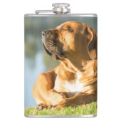 Boerboel Heupfles (Voorkant)