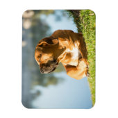 Boerboel Magneet (Verticaal)