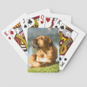 Boerboel Pokerkaarten (Achterkant)