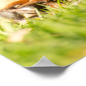 Boerboel Poster (Hoek)