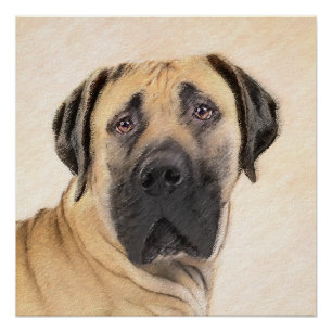 Boerboel schilderen - Kute Original Dog Art Perfect Poster