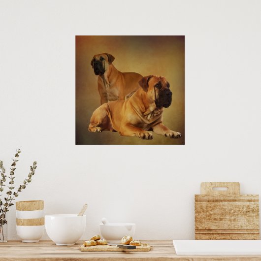 Boerboel - Zuid-Afrikaanse Mastiff Poster (Keuken)