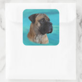 Boerboel - Zuid-Afrikaanse Mastiff Vierkante Sticker (Tas)