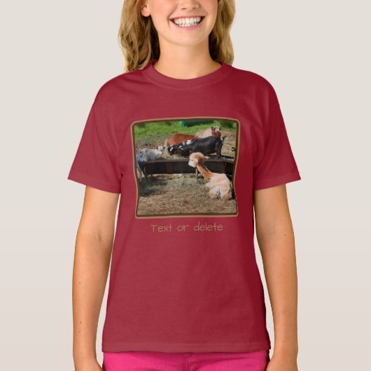 Boerderij Animal Barnyard Friends Personalized T-shirt (Voorkant)