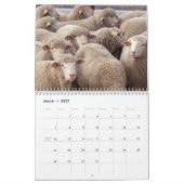Boerderij Animal Fotografie Agenda Kalender (Mar 2027)