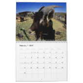 Boerderij Animal Fotografie Agenda Kalender (Feb 2027)