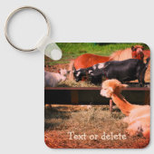 Boerderij Animal Friends Natuur - Gepersonaliseerd Sleutelhanger (Voorkant)