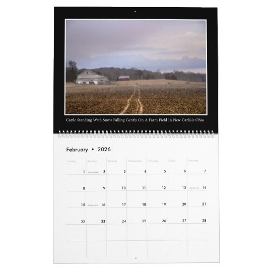 Boerderij & Barn 2017 Agenda door Tom Minutolo Kalender (Feb 2026)