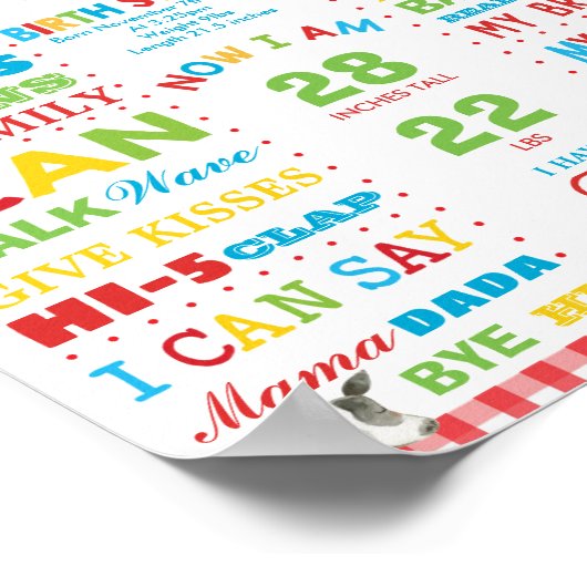 Boerderij Barnyard 1e verjaardag mijlpaal geboorte Poster (Hoek)