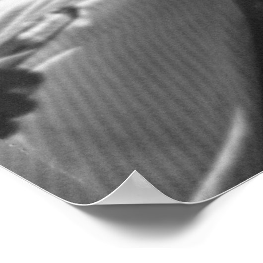  Boerderij Beveiligingsbeheer afdrukken Poster (Hoek)