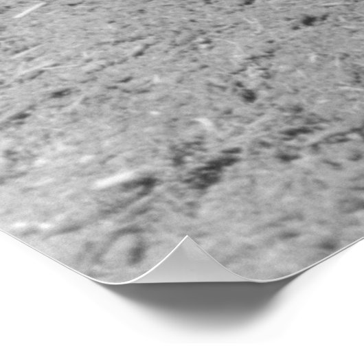  Boerderij Beveiligingsbeheer afdrukken Poster (Hoek)