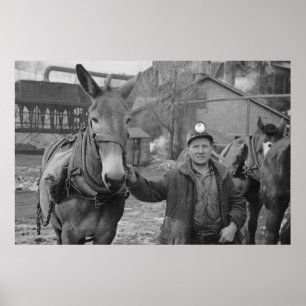 Boerderij Beveiligingsbeheer afdrukken Poster