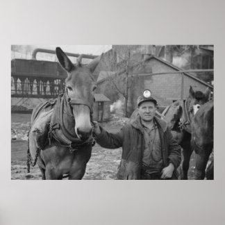  Boerderij Beveiligingsbeheer afdrukken Poster