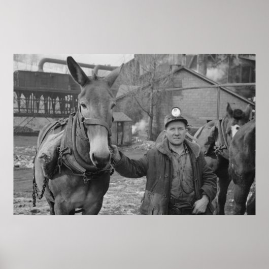 Boerderij Beveiligingsbeheer afdrukken Poster (Voorkant)