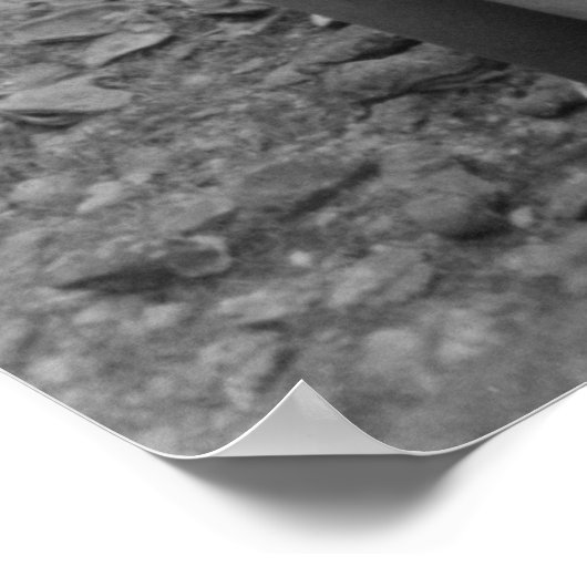  Boerderij Beveiligingsbeheer afdrukken Poster (Hoek)