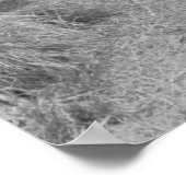 Boerderij Beveiligingsbeheer afdrukken Poster (Hoek)