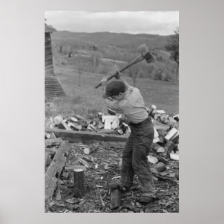 Boerderij Beveiligingsbeheer afdrukken Poster