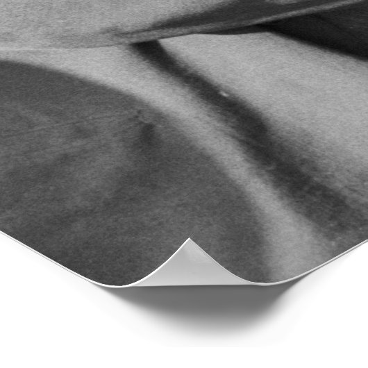  Boerderij Beveiligingsbeheer afdrukken Poster (Hoek)