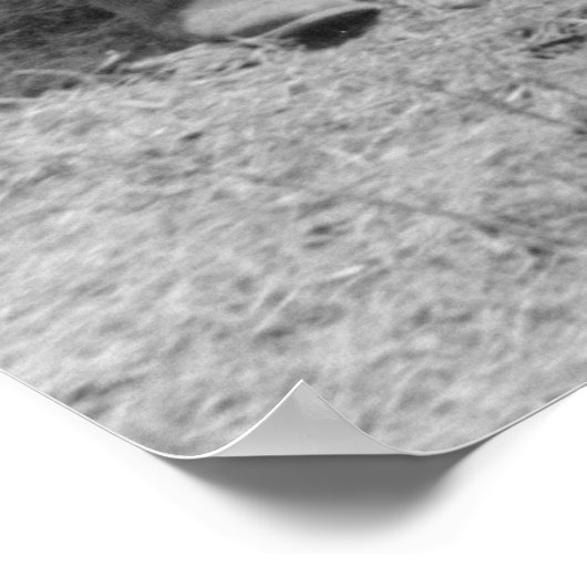  Boerderij Beveiligingsbeheer afdrukken Poster (Hoek)