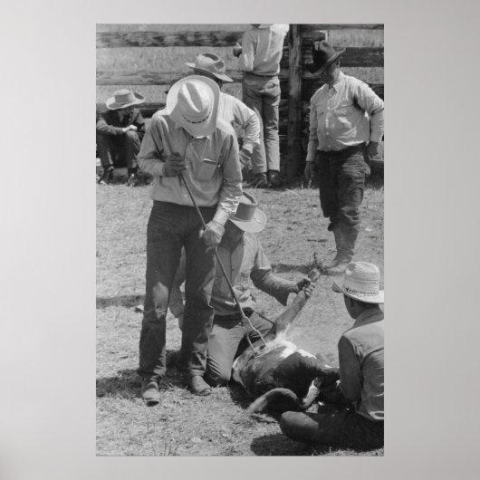  Boerderij Beveiligingsbeheer afdrukken Poster (Voorkant)