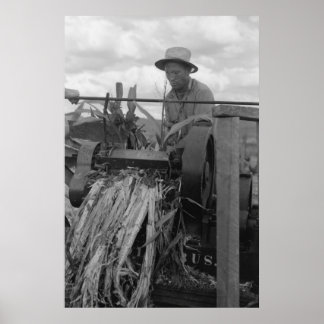  Boerderij Beveiligingsbeheer afdrukken Poster