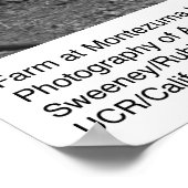 Boerderij bij Montezuma Hills door Ansel Adams Poster (Hoek)