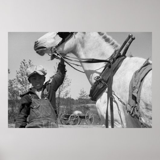 Boerderij Boy met Plow Horse, jaren '30 Poster (Voorkant)