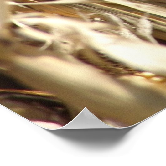 BOERDERIJ BOY PSTER POSTER (Hoek)