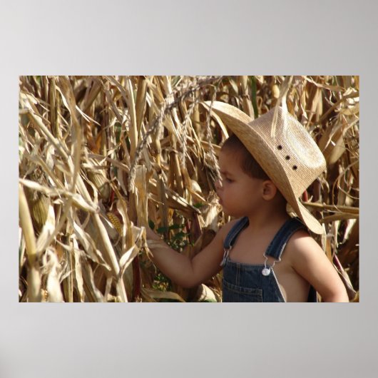 BOERDERIJ BOY PSTER POSTER (Voorkant)