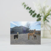 Boerderij Briefkaart (Staand voorkant)